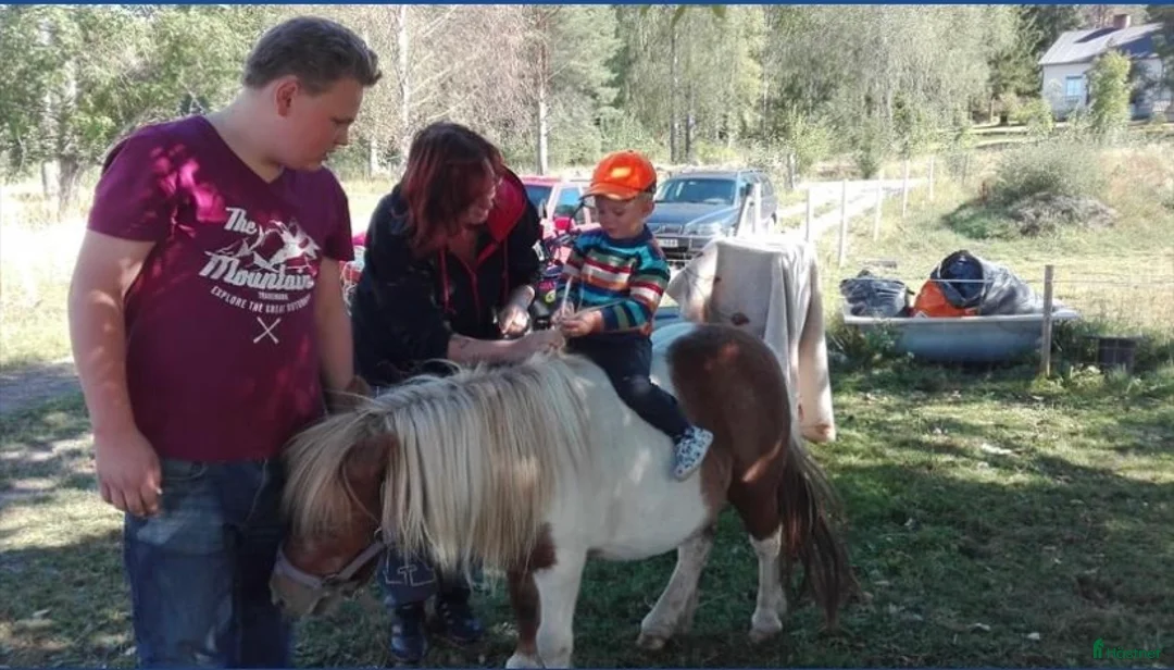 Galleribild {{count}}