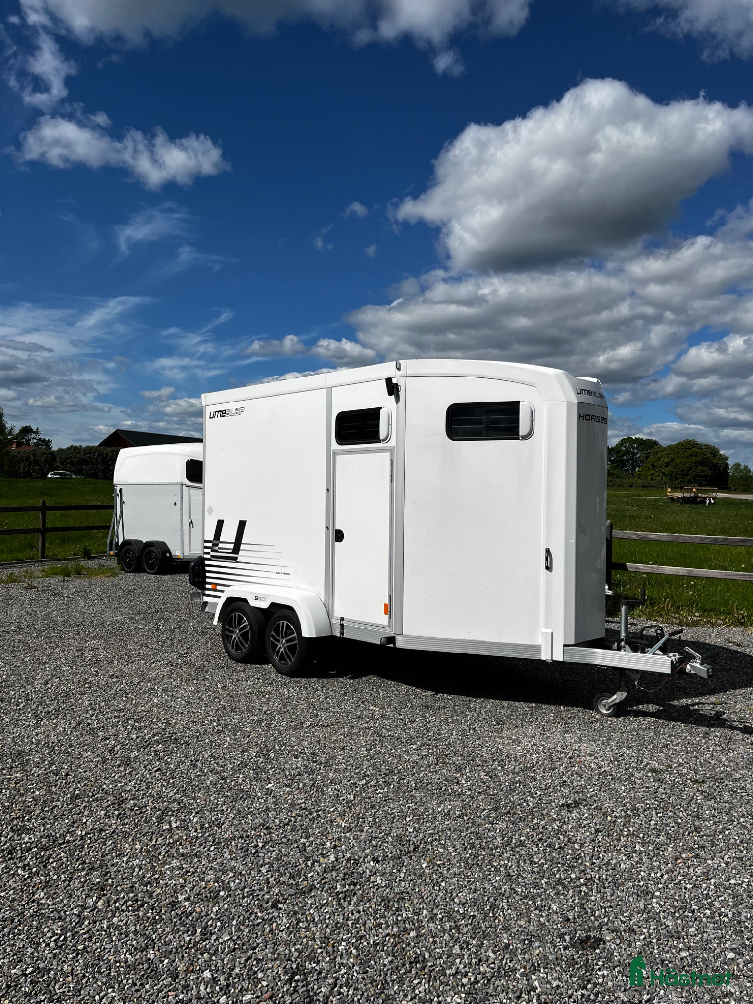 Hästtransporter  fordon & transport till salu: UMESLÄP B60 2025 (Avdragbar moms) - Annons 4