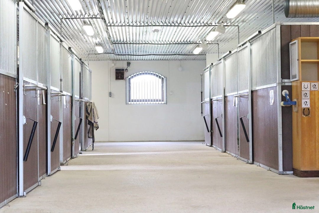  stallplats finnes: Stallplatser nära Umeå i Umeå - Annons 3