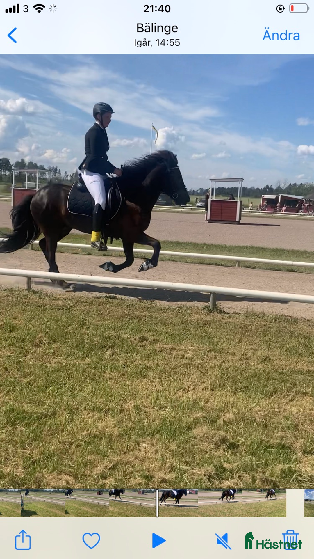  hästservice finnes: Lektioner/lämna häst på träning i Åkersberga - Annons 2