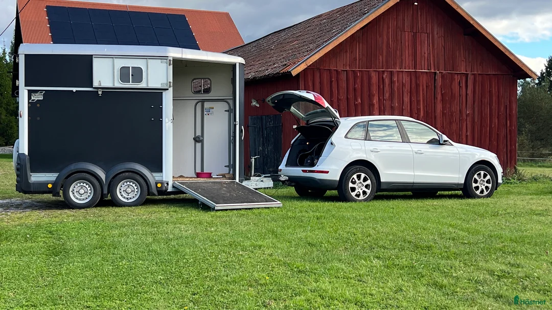 Hästtransporter  fordon & transport till salu: Ifor Williams HB511 i Hållsta - Annons 1