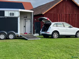 Hästtransporter fordon & transport till salu: Ifor Williams HB511 i Hållsta - Annons 1