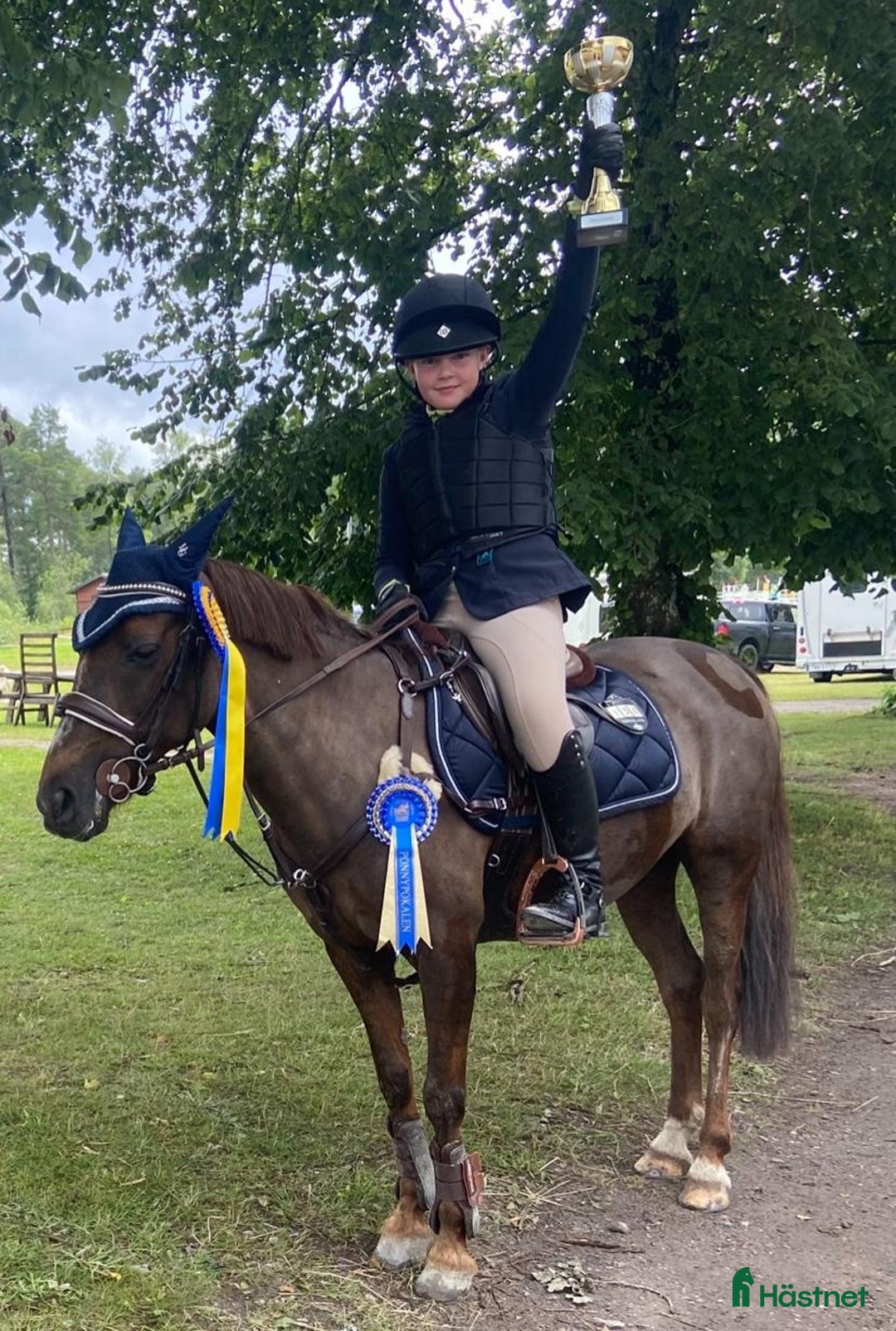 Hoppning hästar till salu: Fantastisk Läromästare  i Sävsjö - Annons 5