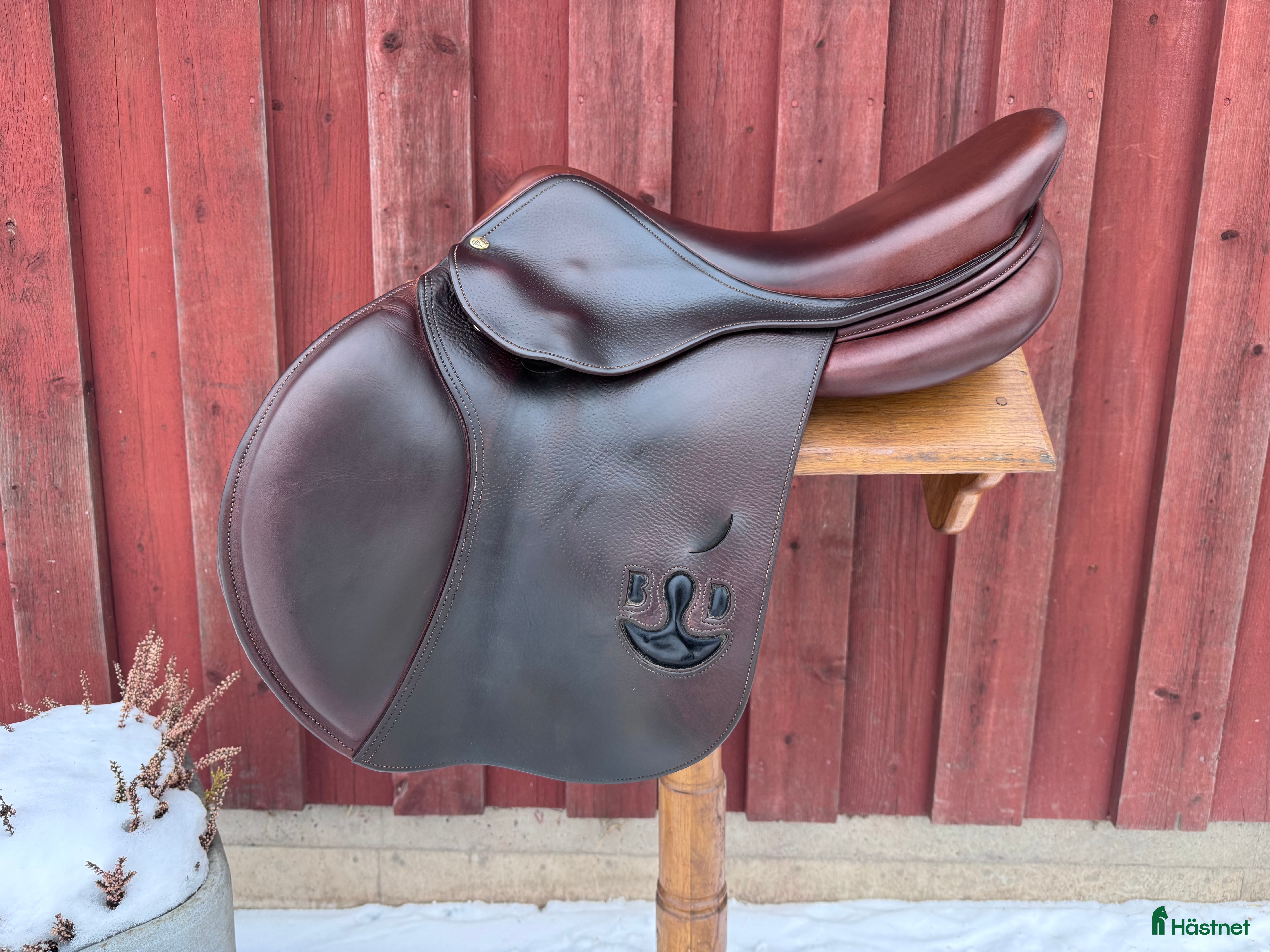 Sadlar hästutrustning Bruno Delgrange Virtuose - Annons 5