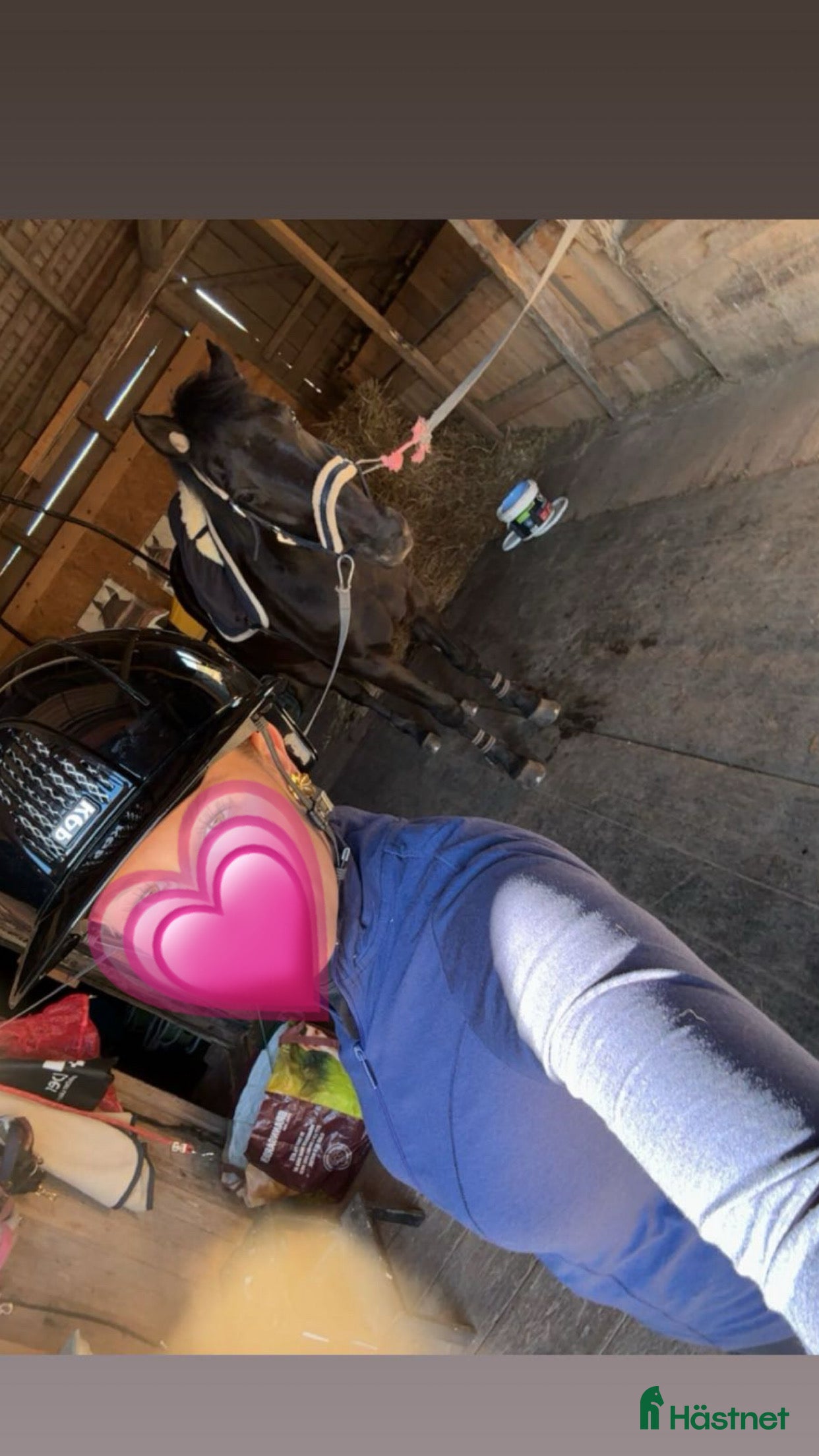 Hjälmar ryttarutrustning till salu: Glossy kep hjälm  i Motala - Annons 1