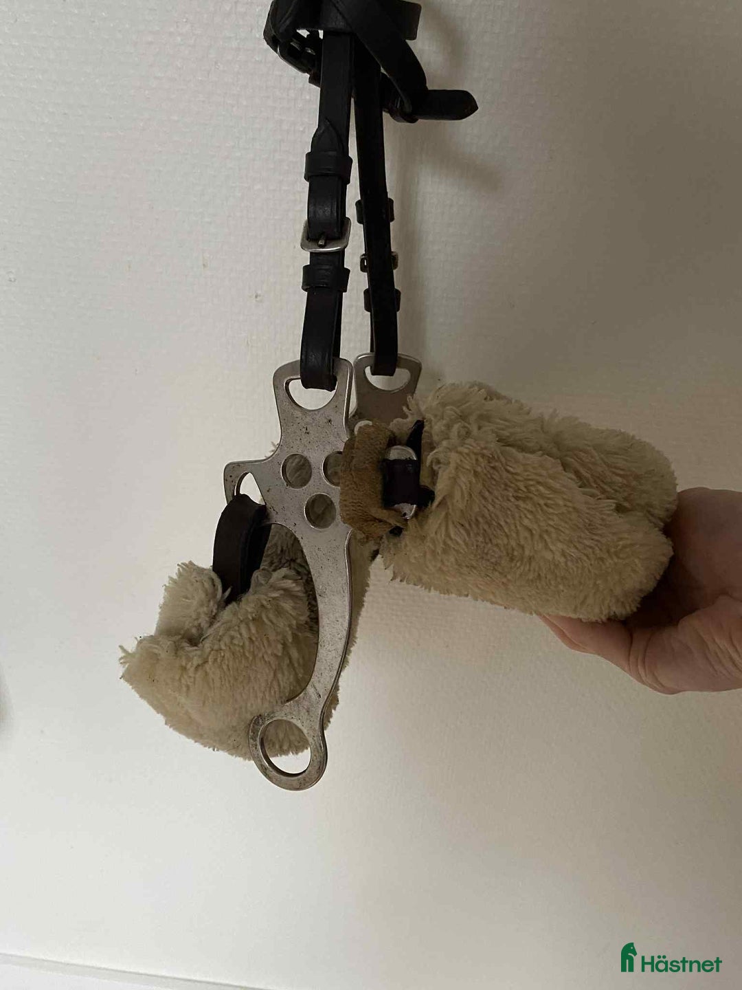 Övrig Hästutrustning hästutrustning till salu: Massa utrustning! i Lund - Annons 15