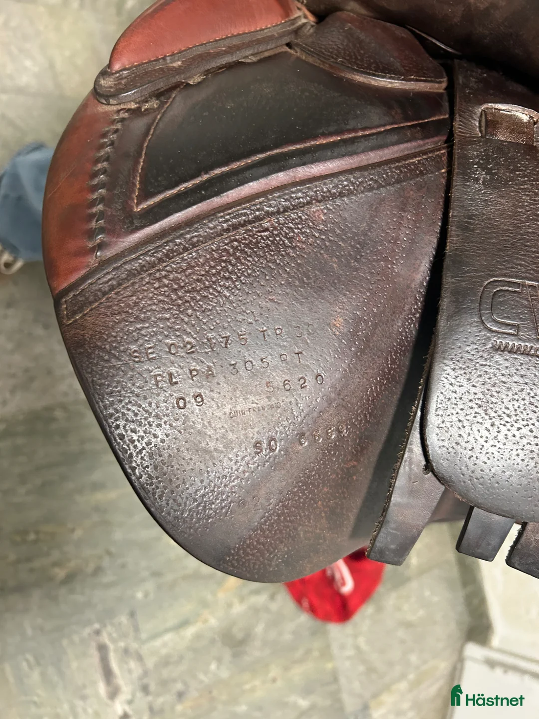 Sadlar hästutrustning till salu: CWD HOPPSADEL 17.5 tum - Annons 8