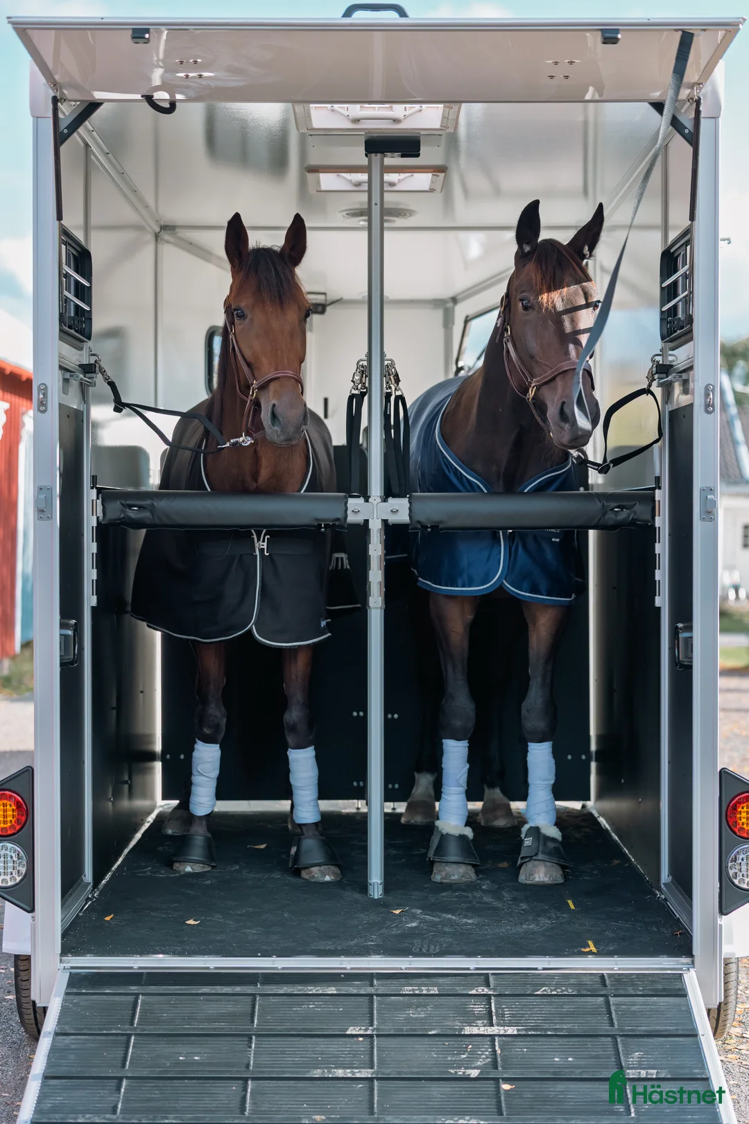 Hästtransporter  fordon & transport till salu: Lanseringskampanj Umesläp B50 2026 i Bygdsiljum - Annons 8