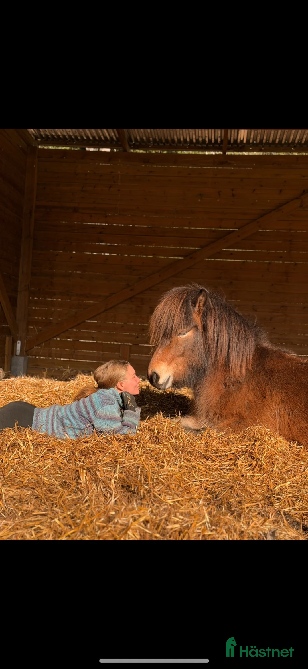  stallplats finnes: Lösdrift Full service  - Annons 5