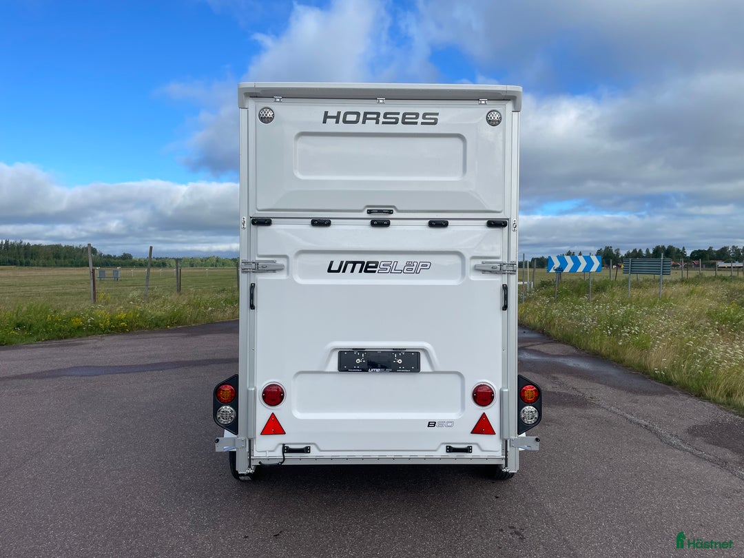 Hästtransporter  fordon & transport till salu: UME B60 - Nu kör vi Kampanj! i Borlänge - Annons 11