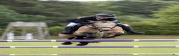 Hoppning hästar till salu: D pony til salg - Annons 4
