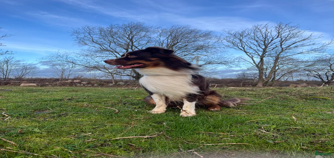 Galleribild {{count}}