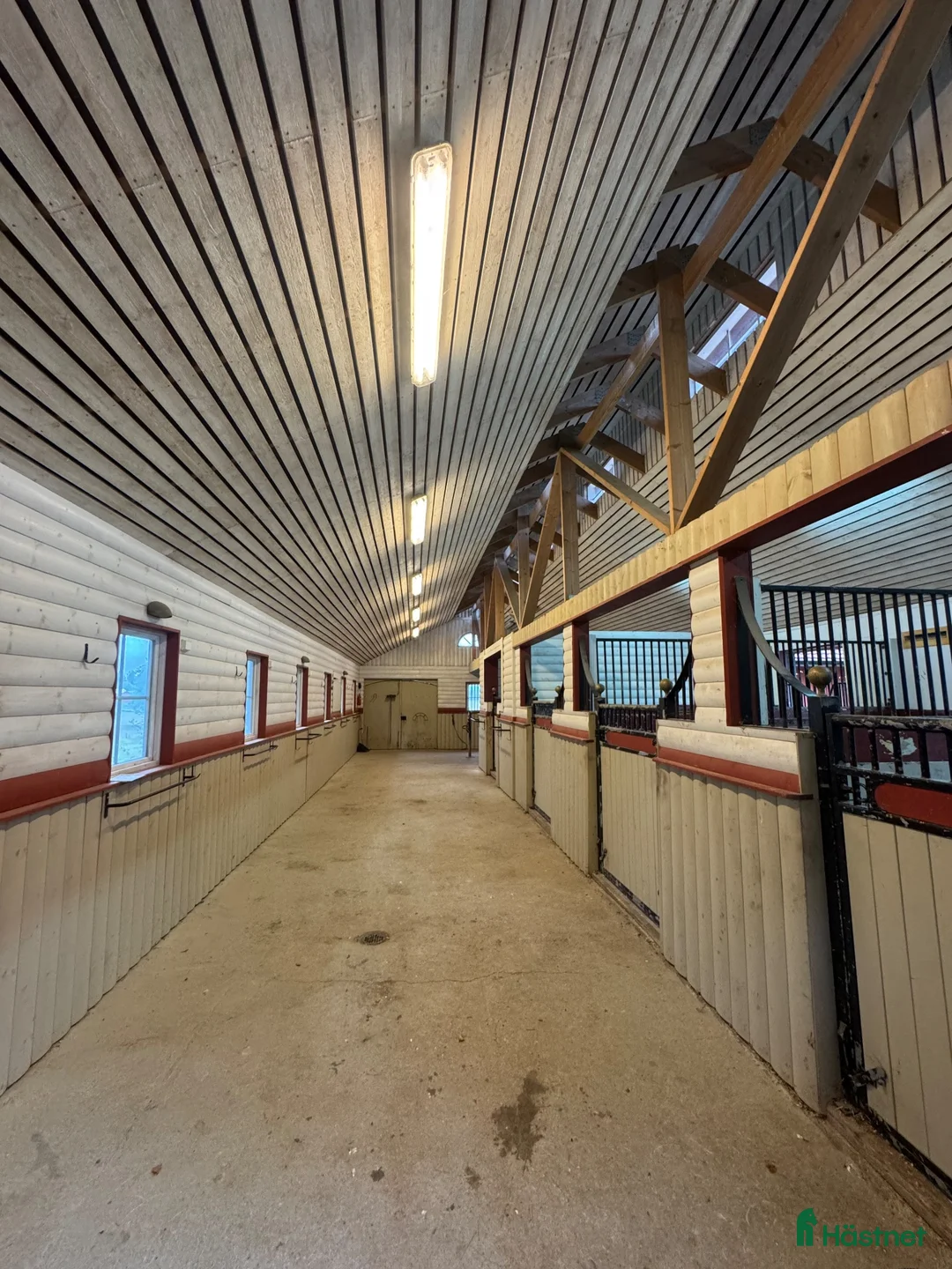  stallplats finnes: Lediga stall & lösdriftsplatser i Norra Sorunda - Annons 2