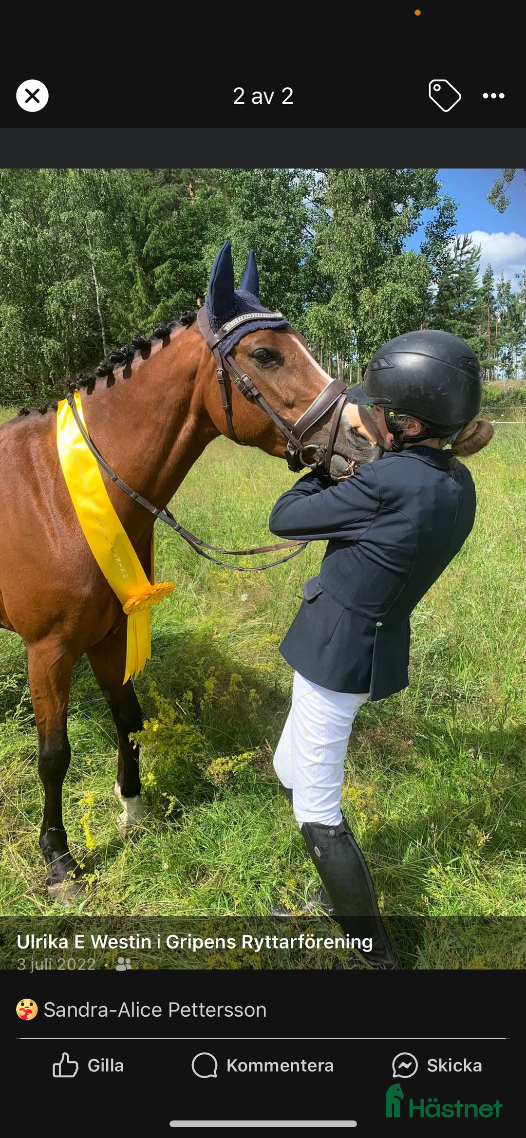 Dressyr hästar till salu: Fei-ponny med talang i Bälinge - Annons 2