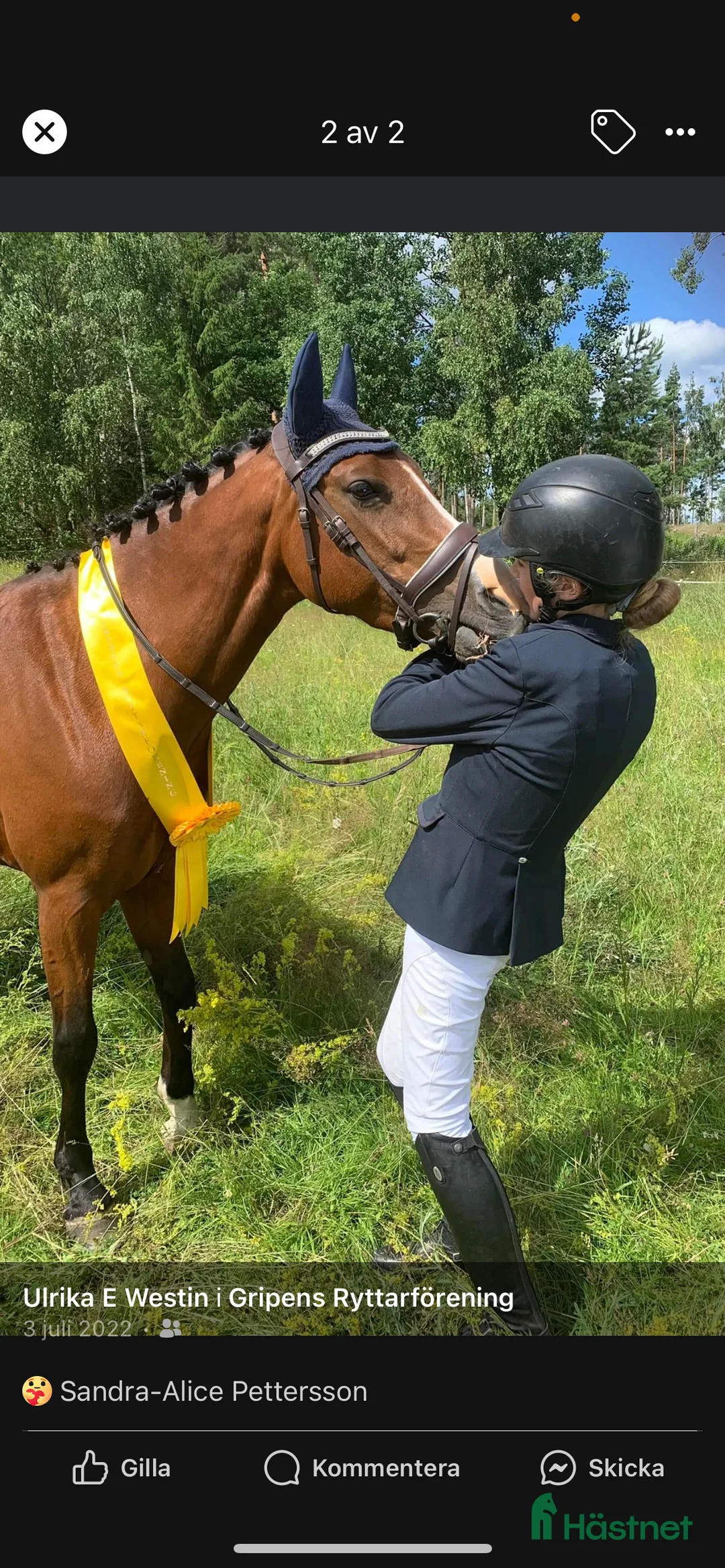 Dressyr hästar till salu: Fei-ponny med talang - Annons 2
