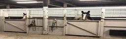  stallplats finnes: Stallplats ledig i Långhundra (Knivsta) - Annons 2