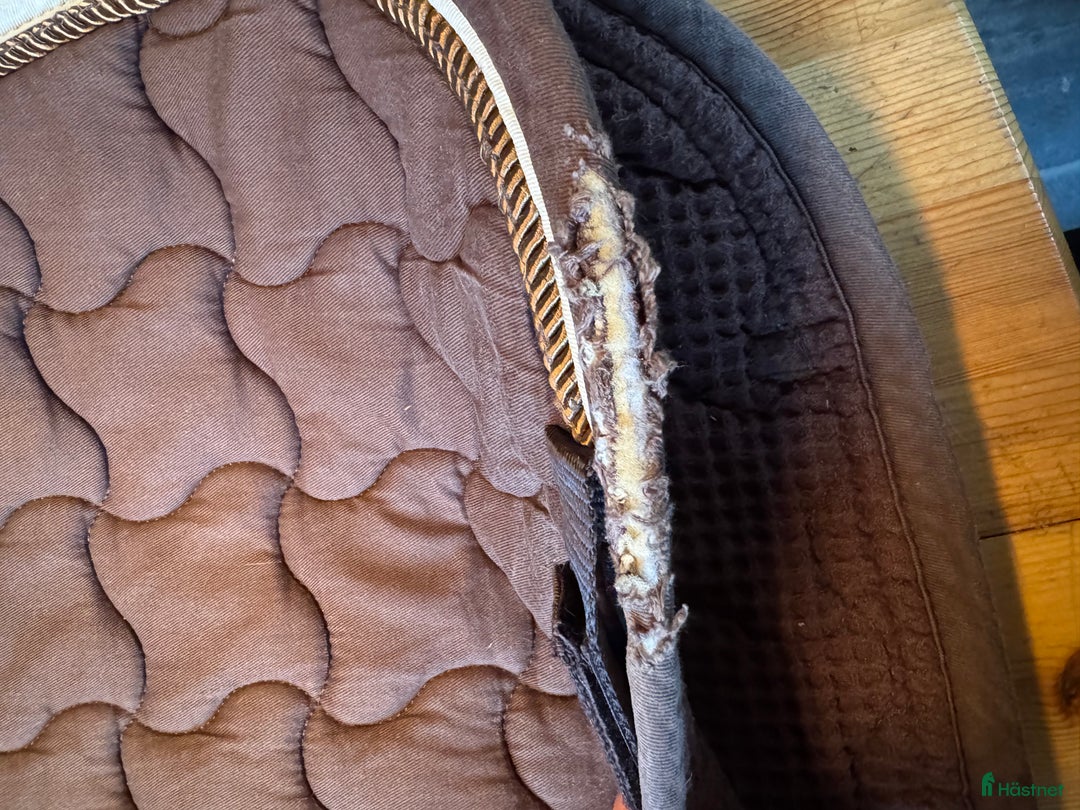 Schabrak & Vojlockar hästutrustning till salu: Schabrak  i Flyinge - Annons 5