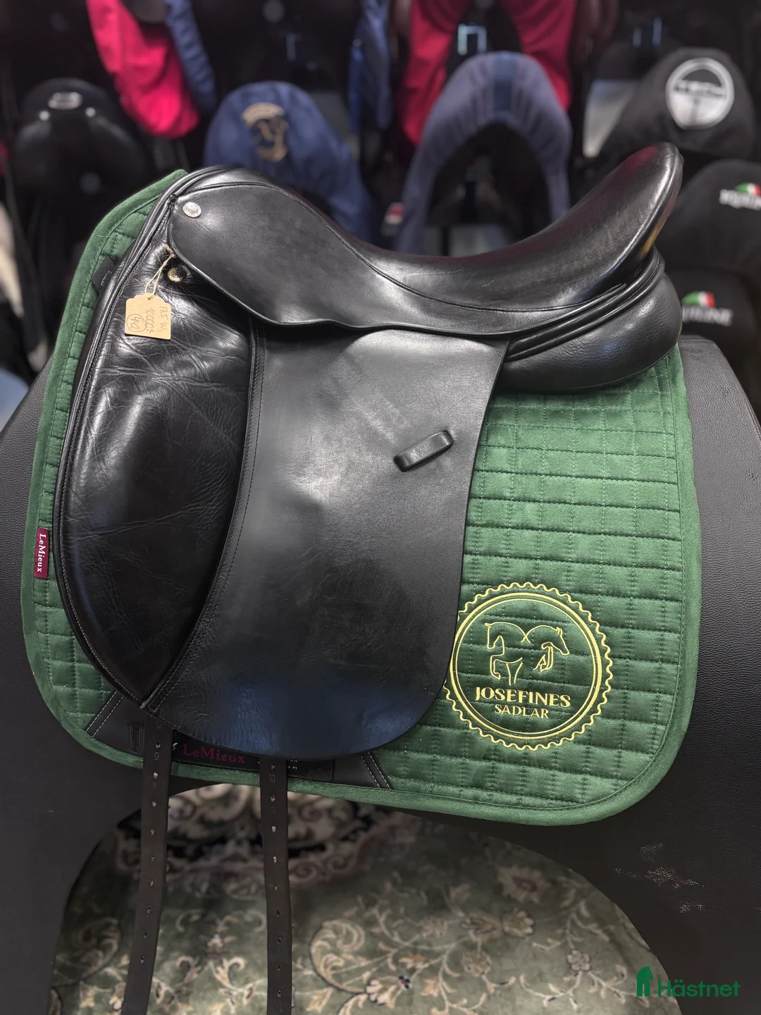 Sadlar hästutrustning till salu: Frank Baines Elegance ✨ i Hova - Annons 1