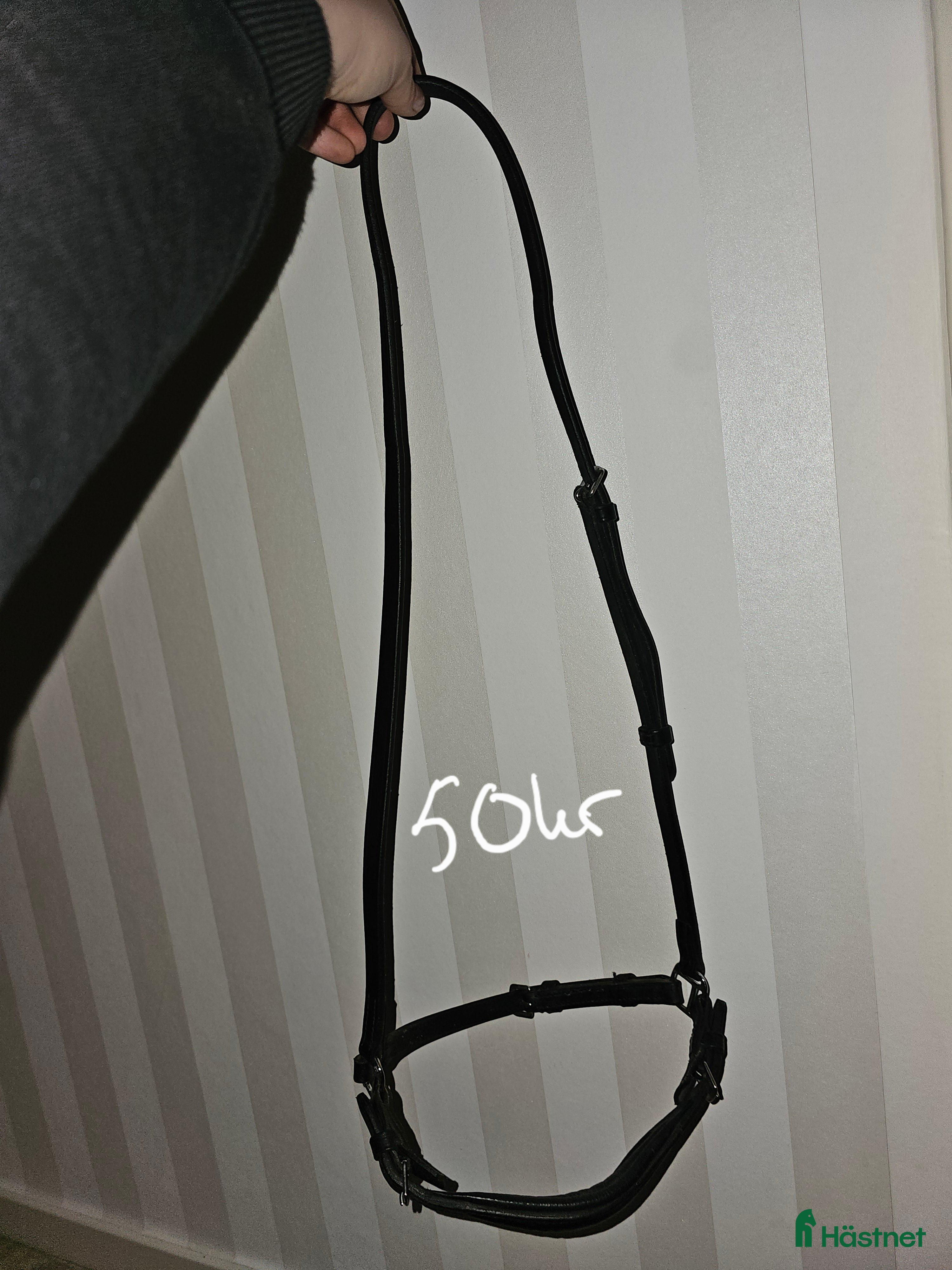 Träns hästutrustning till salu: Tränsdelar i Arvika - Annons 23