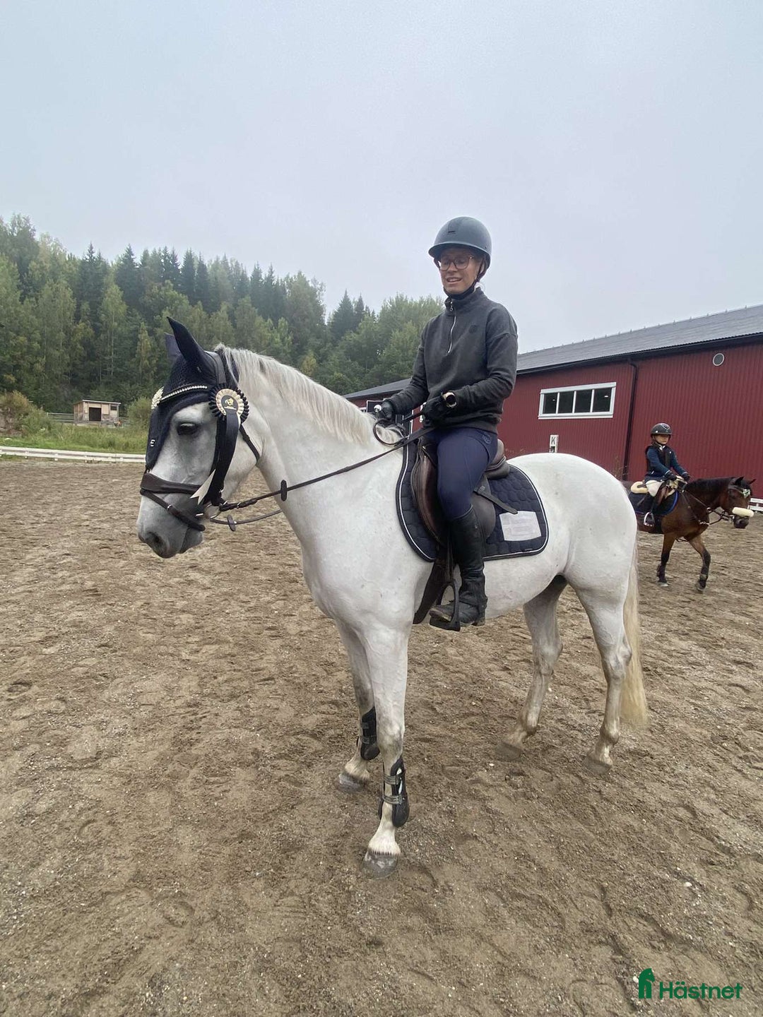 Allround hästar till salu: Unghäst som blir det du gör han till i Sundsvall - Annons 2