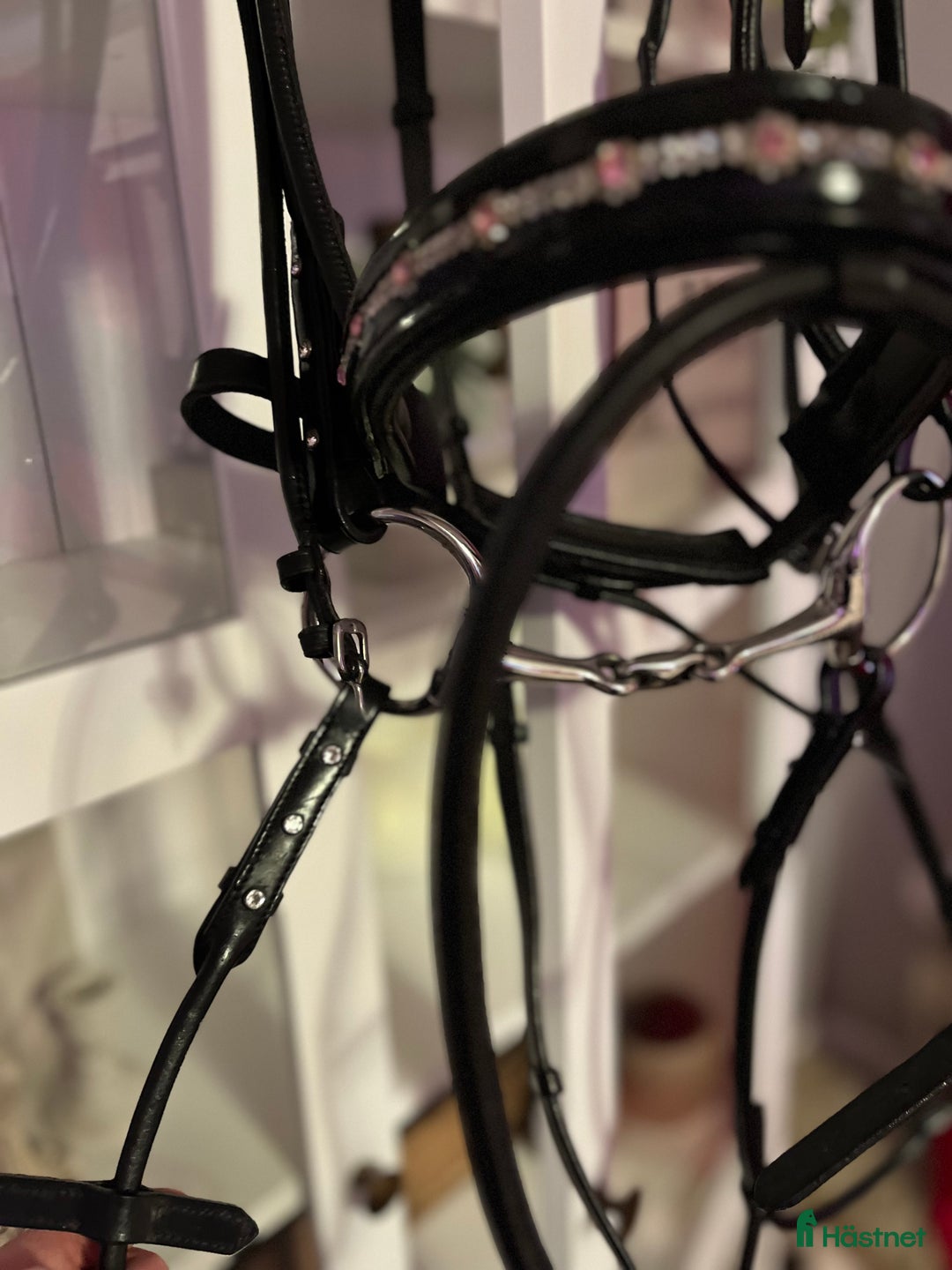 Träns hästutrustning till salu: UNIKT DRESSYRTRÄNS! i Stånga - Annons 3