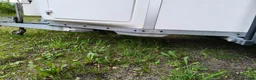Hästtransporter  fordon & transport till salu: Fynda ett underhållsfritt lyxsläp! - Annons 8