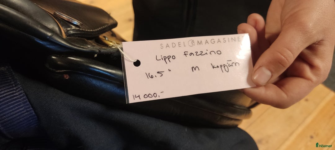 Allround hästar till salu: Tävlingsponny i startgropen i Gärsnäs - Annons 9