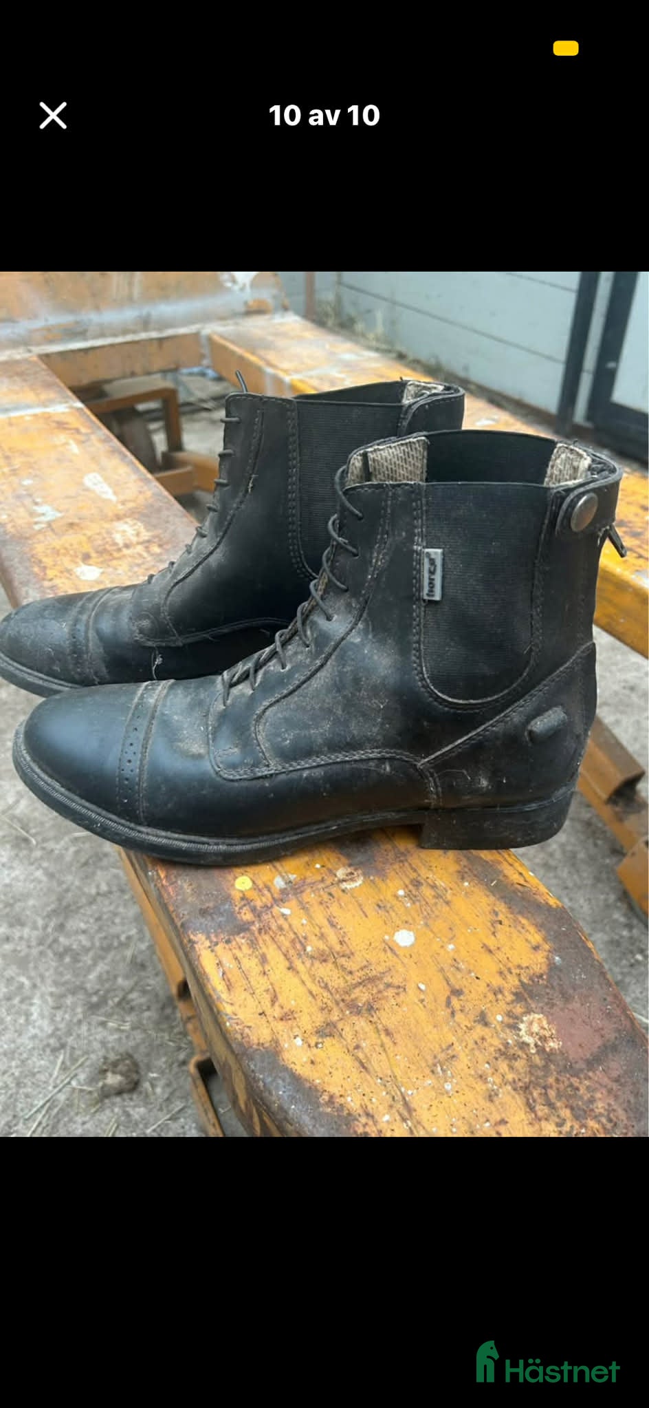 Ridstövlar ryttarutrustning till salu: Ridskor - Annons 2