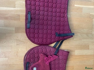 Schabrak & Vojlockar hästutrustning till salu: Equiline schabrak i Gustavsberg - Annons 22