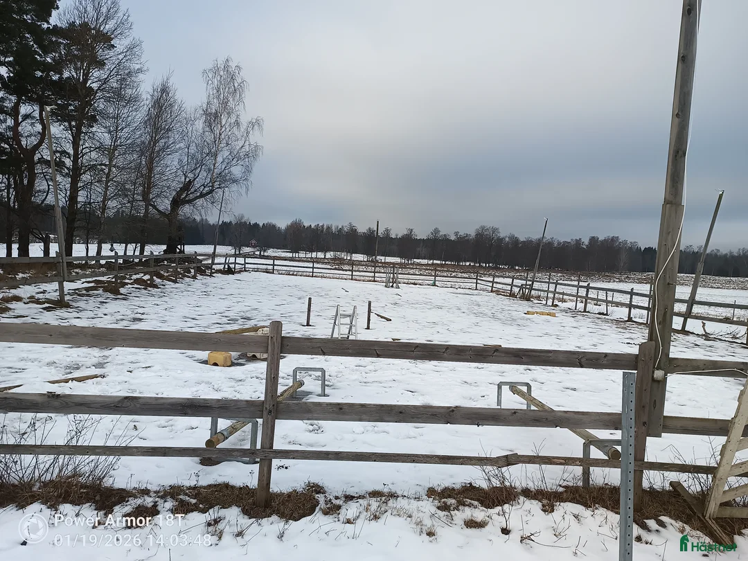  hästgårdar till salu: Rum i villa Uthyres i Hjortkvarn - Annons 8