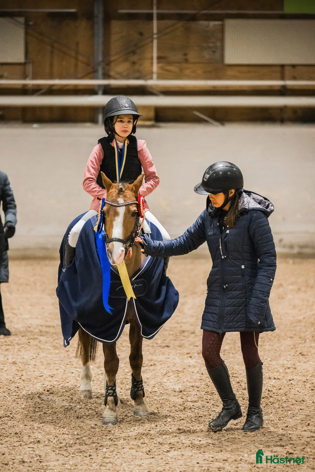 Allround hästar till salu: Fantastiskt fin läromästare B-ponny  i Luleå - Annons 3