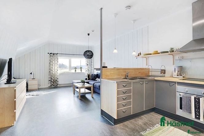  lägenhet till salu: Lägenhet och stallplats uthyres - Annons 5