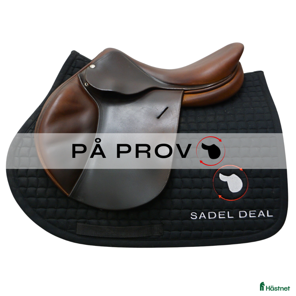 Sadlar hästutrustning till salu: Butet M 16,5" - petit storlek! i Upplands Väsby - Annons 5