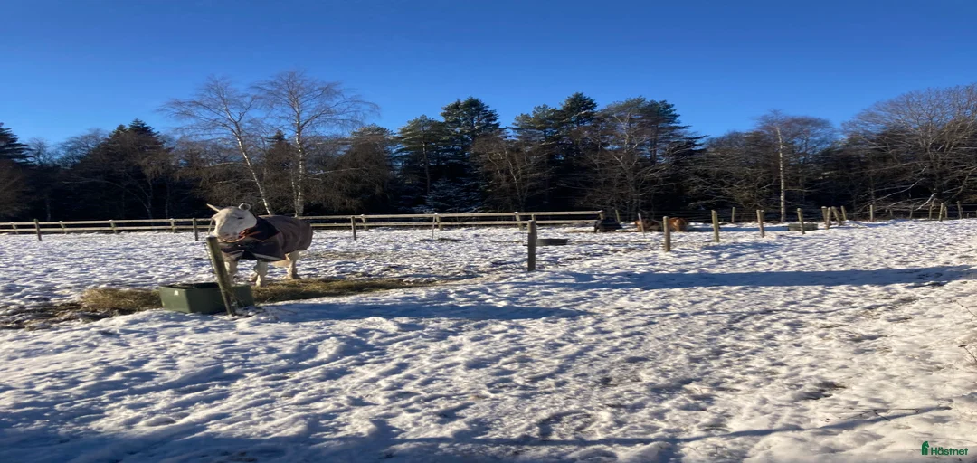 Galleribild {{count}}