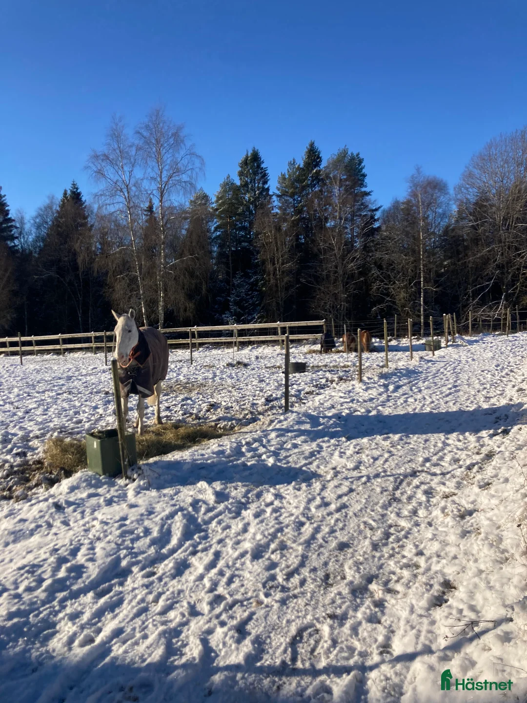 Galleribild {{count}}