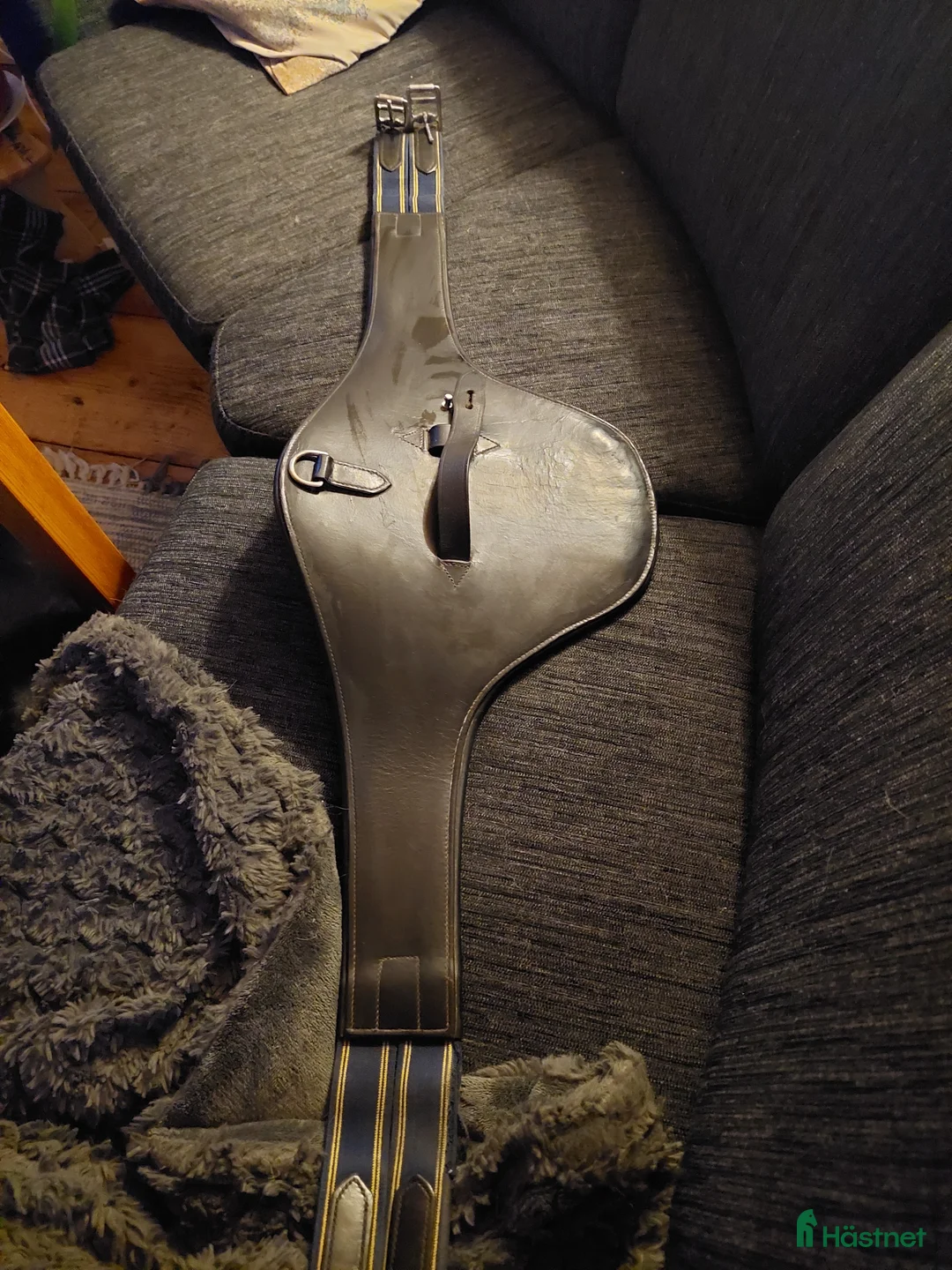 Sadeltillbehör hästutrustning till salu: Magplatta säljes  - Annons 1