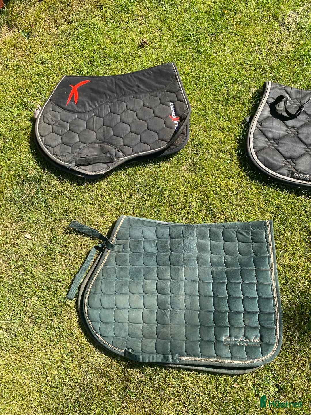 Schabrak & Vojlockar hästutrustning till salu: Fina hoppshabrack!  i Lyckeby - Annons 1