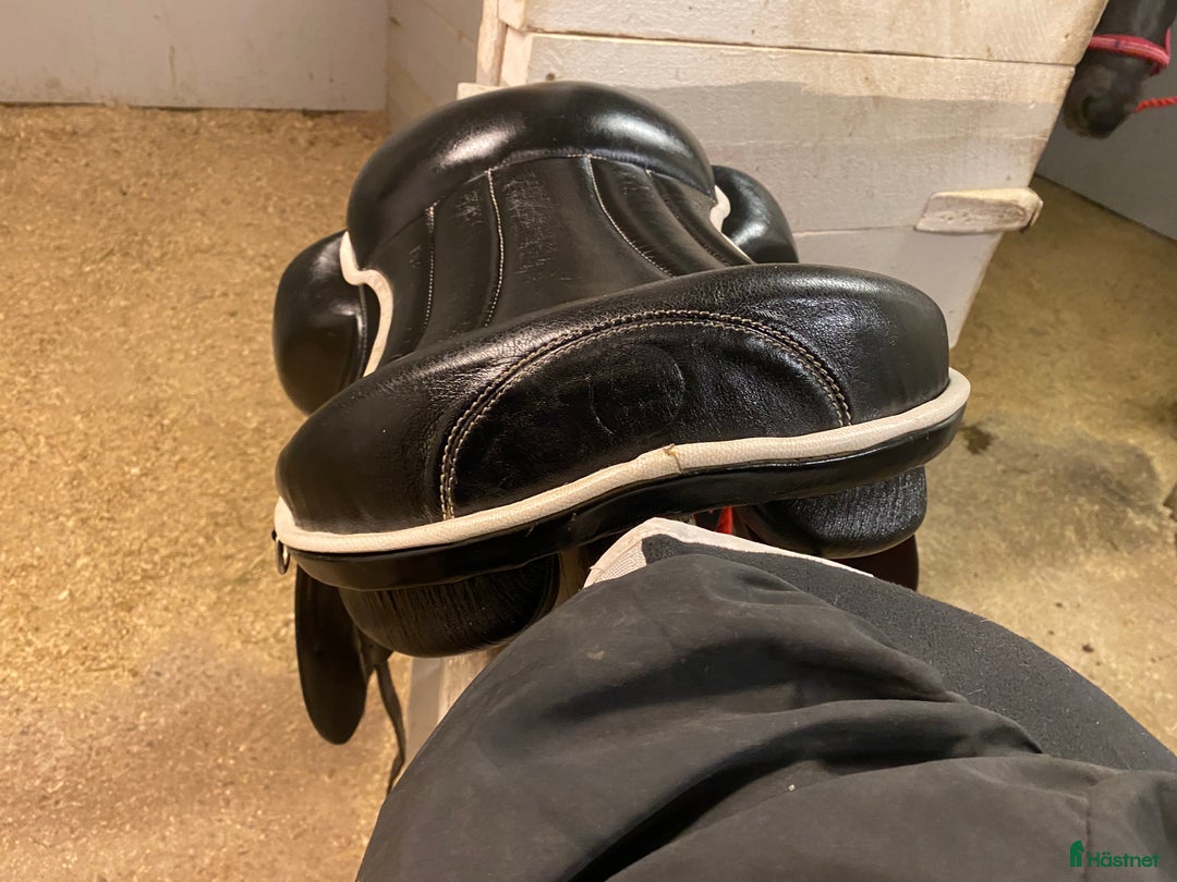 Sadlar hästutrustning till salu: Taur gaiter III i Färila - Annons 4