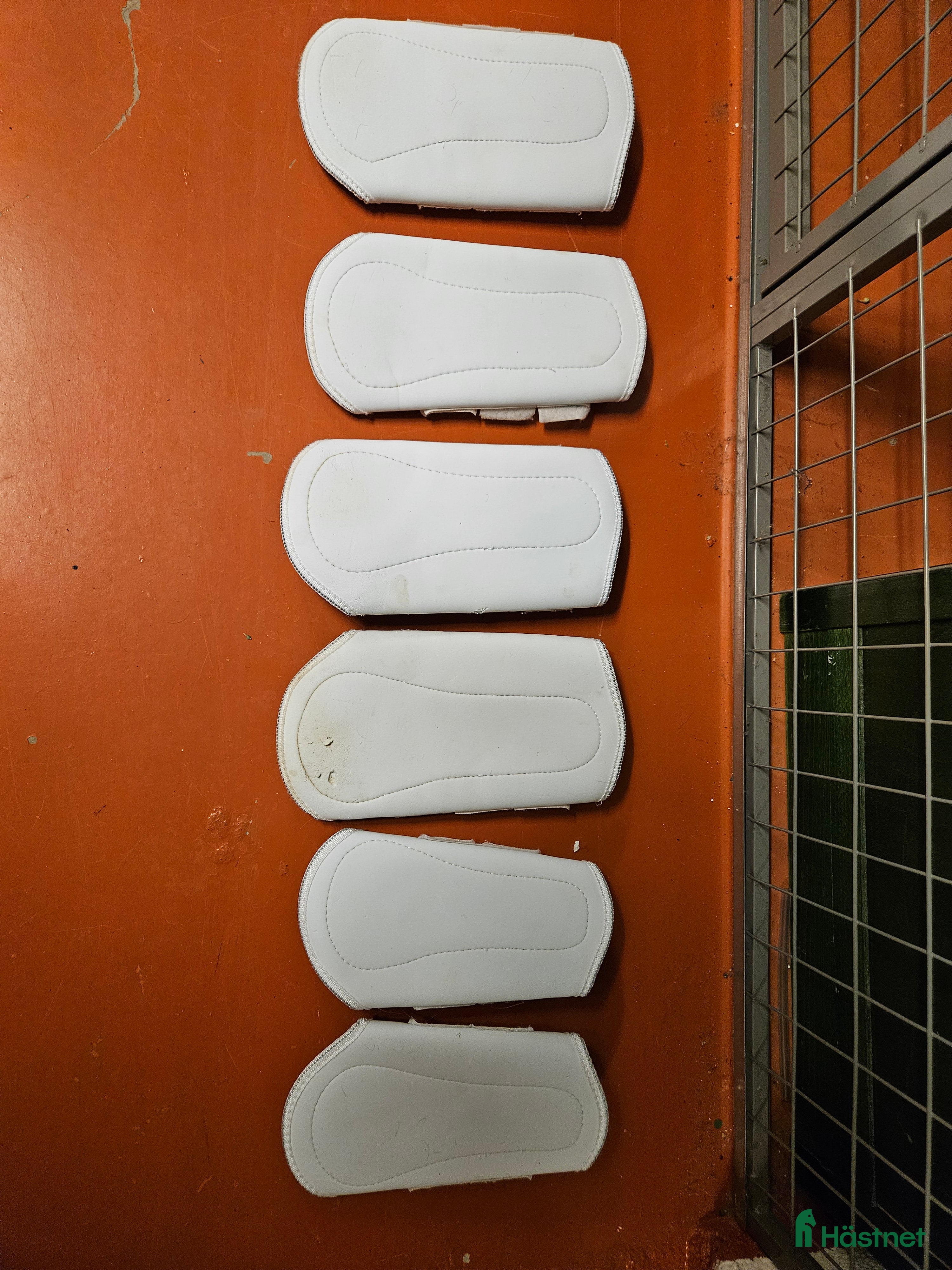 Benskydd hästutrustning till salu: Teddyfodrade benskydd från Horze i Lerum - Annons 3