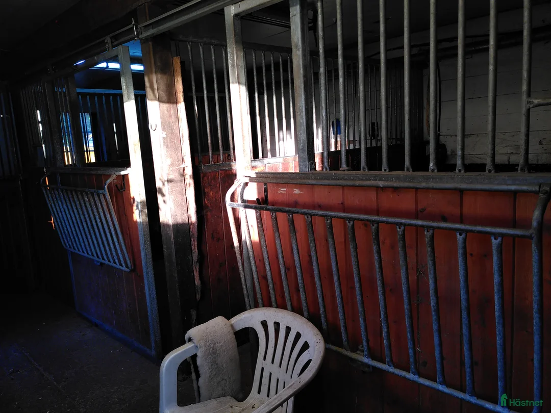  stallplats finnes: Två-Tre stallplatser i Tungelsta uthyres.  - Annons 7