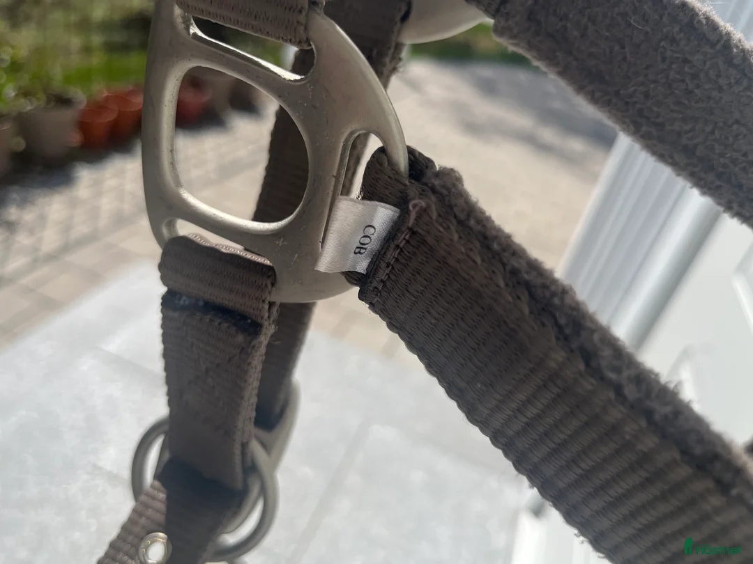 Övrig Hästutrustning hästutrustning till salu: Ljusbrun grimma + grimskaft i Åkersberga - Annons 4