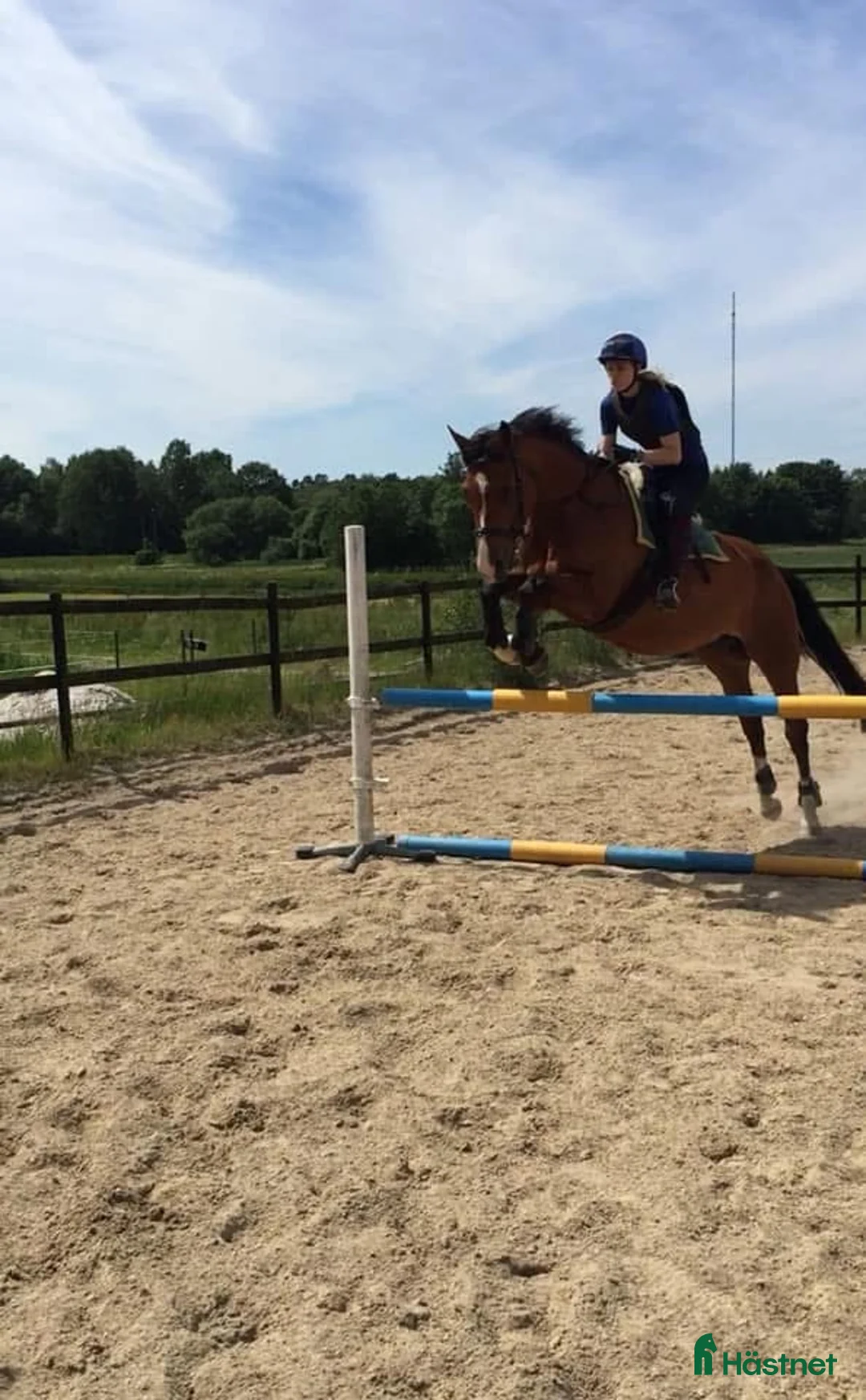 Övrigt hästar sökes: Söker efter Cheyenne i Mörrum - Annons 4