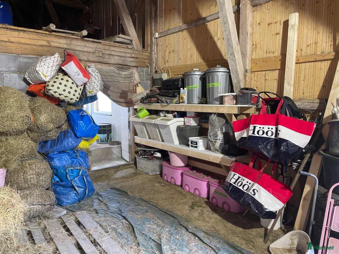  stallplats finnes: Boxplats i mysigt stall för ponny bussförbindelser i Uddevalla - Bild 11