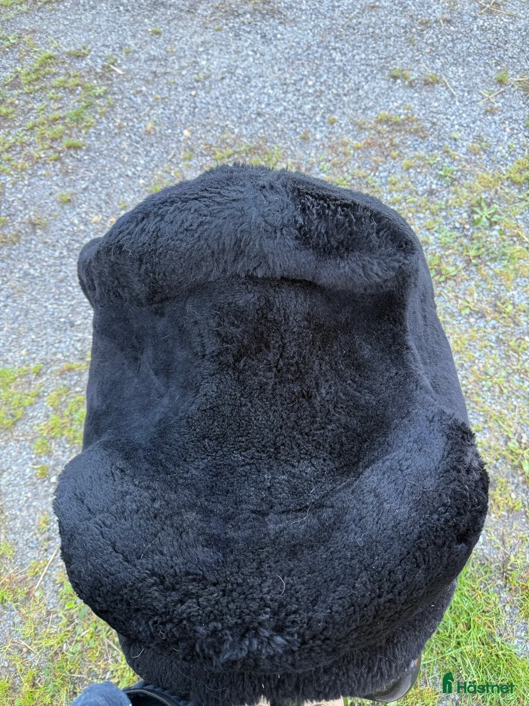 Sadlar hästutrustning till salu: Amazonas akademisk  Dressyr sadel  i Ärla - Annons 8