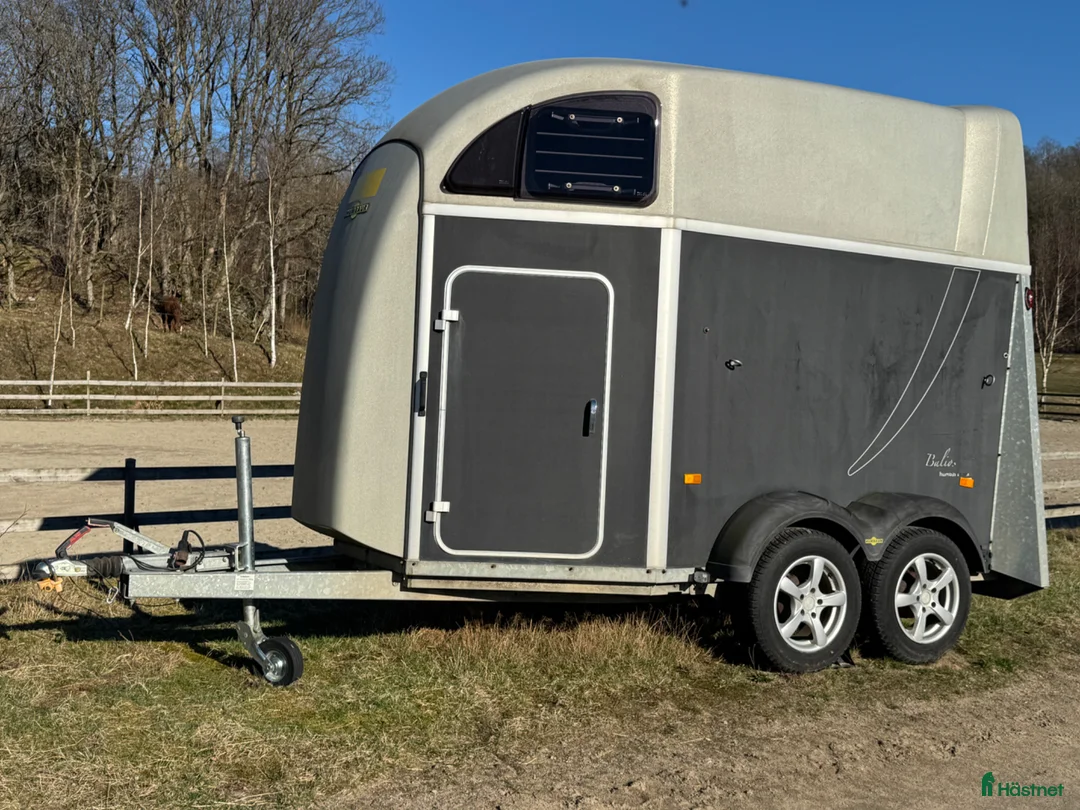 Hästtransporter  fordon & transport till salu: Humbaur Balios - Annons 2