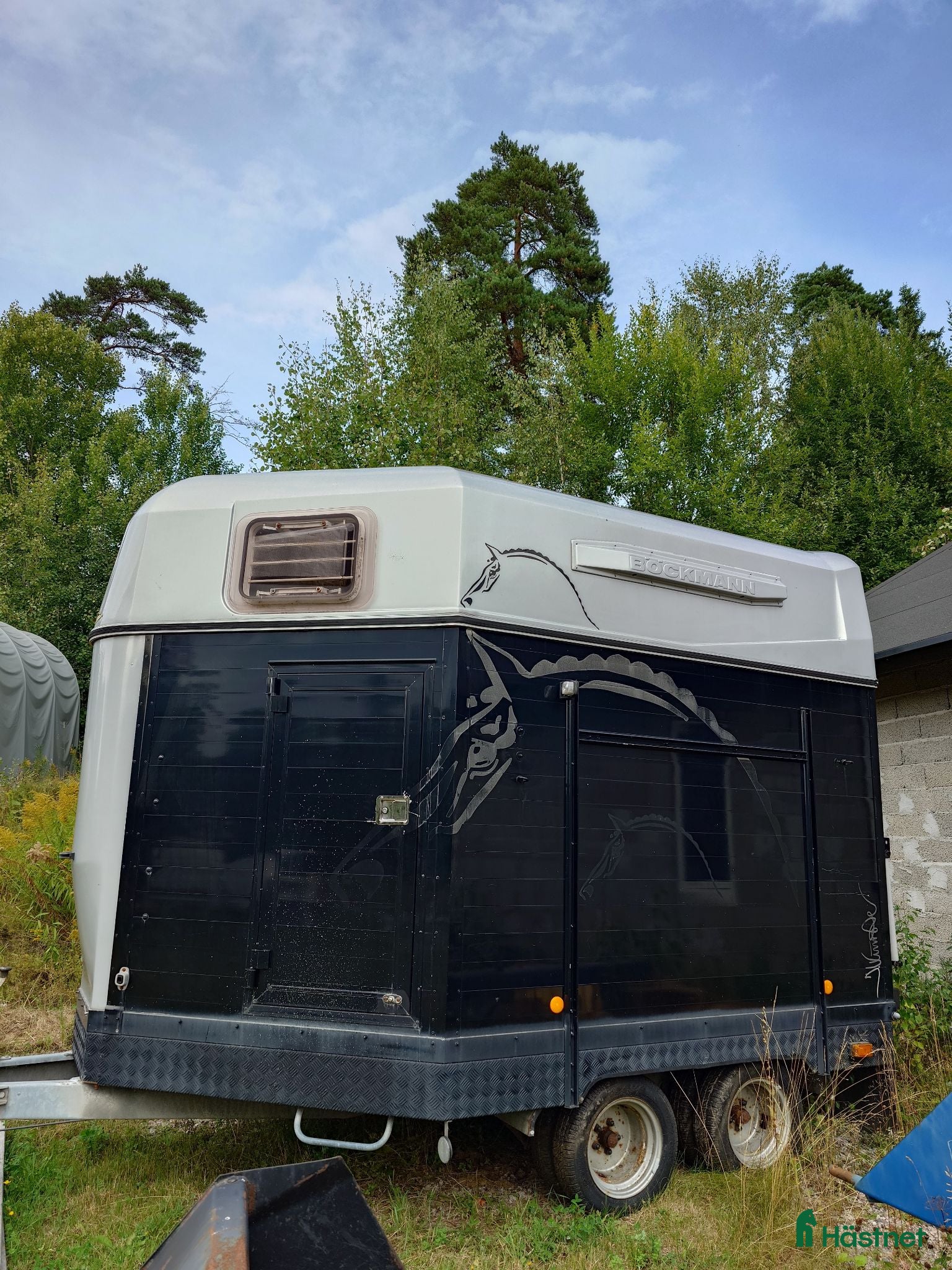 Hästtransporter  fordon & transport till salu: 3-hästars transport. - Annons 9