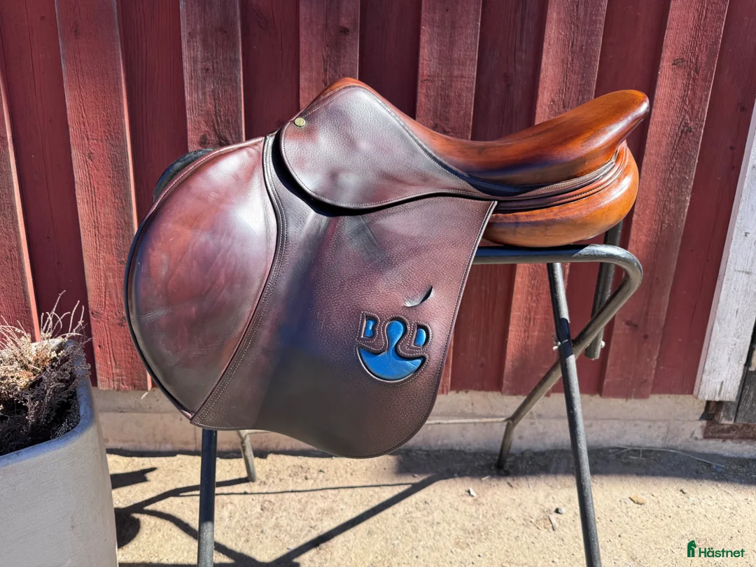 Sadlar hästutrustning till salu: Bruno Delgrange Virtuose - Annons 1