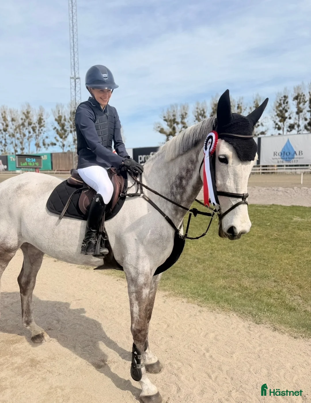 Allround hästar till salu: Fantastisk häst som kan både hoppning o dressyr🤩 - Annons 1