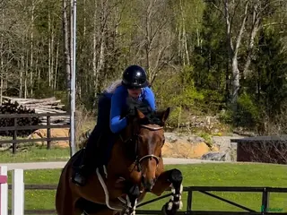 hästar Lovande ungponny med mycket potential🌟 - Annons 5