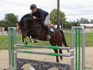 Stallinredning, stängsel & gård övrig utrustning till salu: Hindermaterial i Steninge - Annons 8